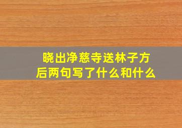 晓出净慈寺送林子方后两句写了什么和什么