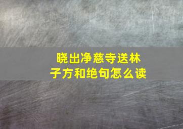 晓出净慈寺送林子方和绝句怎么读