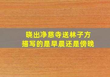 晓出净慈寺送林子方描写的是早晨还是傍晚