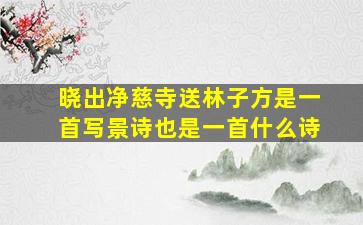 晓出净慈寺送林子方是一首写景诗也是一首什么诗