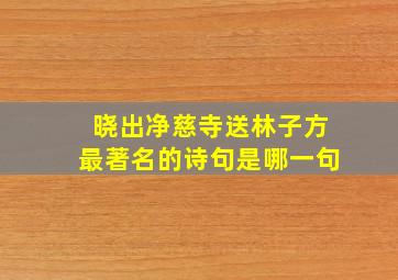 晓出净慈寺送林子方最著名的诗句是哪一句