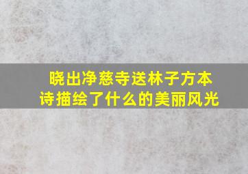 晓出净慈寺送林子方本诗描绘了什么的美丽风光