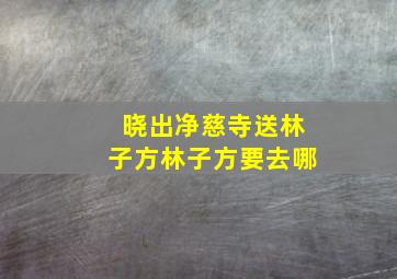 晓出净慈寺送林子方林子方要去哪