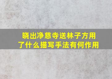 晓出净慈寺送林子方用了什么描写手法有何作用