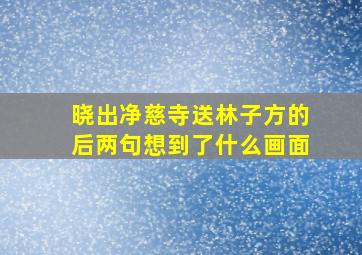 晓出净慈寺送林子方的后两句想到了什么画面