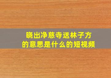 晓出净慈寺送林子方的意思是什么的短视频