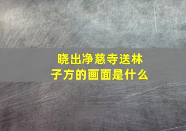 晓出净慈寺送林子方的画面是什么