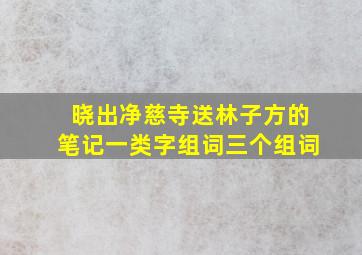 晓出净慈寺送林子方的笔记一类字组词三个组词