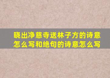 晓出净慈寺送林子方的诗意怎么写和绝句的诗意怎么写