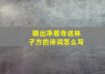 晓出净慈寺送林子方的诗词怎么写