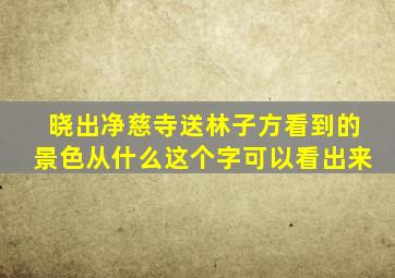 晓出净慈寺送林子方看到的景色从什么这个字可以看出来