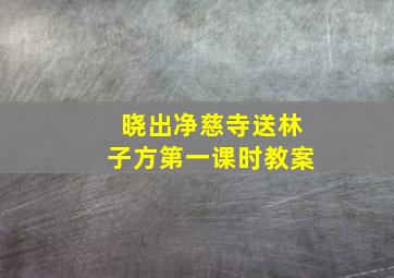 晓出净慈寺送林子方第一课时教案