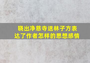 晓出净慈寺送林子方表达了作者怎样的思想感情