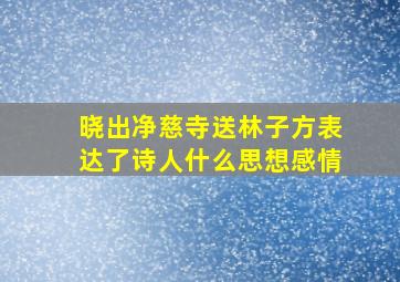 晓出净慈寺送林子方表达了诗人什么思想感情