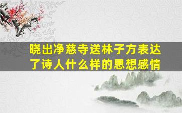 晓出净慈寺送林子方表达了诗人什么样的思想感情