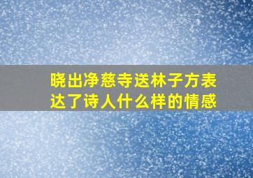 晓出净慈寺送林子方表达了诗人什么样的情感