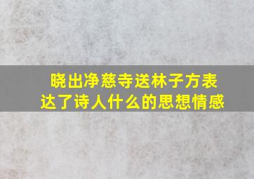 晓出净慈寺送林子方表达了诗人什么的思想情感