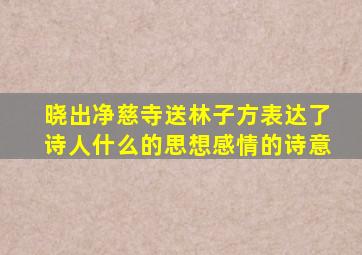 晓出净慈寺送林子方表达了诗人什么的思想感情的诗意