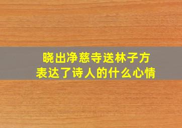 晓出净慈寺送林子方表达了诗人的什么心情