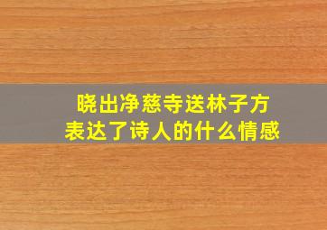 晓出净慈寺送林子方表达了诗人的什么情感