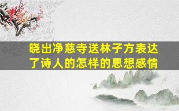 晓出净慈寺送林子方表达了诗人的怎样的思想感情