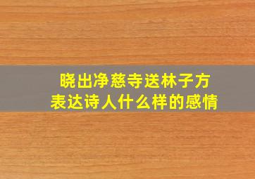 晓出净慈寺送林子方表达诗人什么样的感情