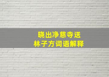 晓出净慈寺送林子方词语解释