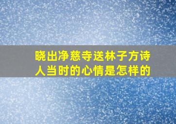 晓出净慈寺送林子方诗人当时的心情是怎样的