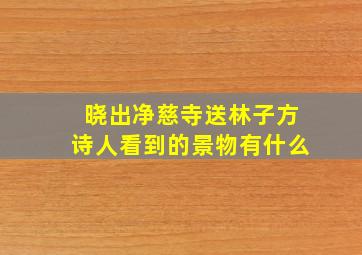 晓出净慈寺送林子方诗人看到的景物有什么