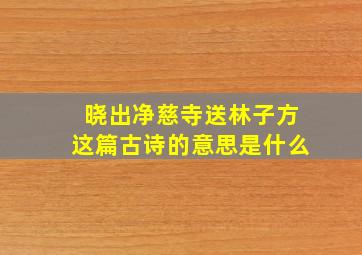 晓出净慈寺送林子方这篇古诗的意思是什么