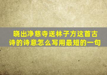 晓出净慈寺送林子方这首古诗的诗意怎么写用最短的一句