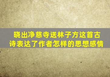 晓出净慈寺送林子方这首古诗表达了作者怎样的思想感情