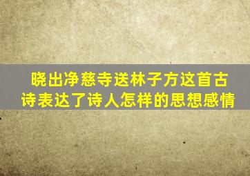 晓出净慈寺送林子方这首古诗表达了诗人怎样的思想感情