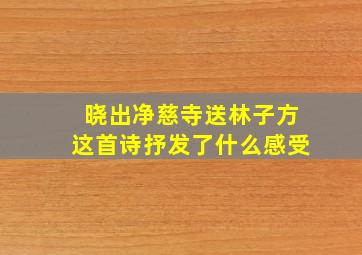 晓出净慈寺送林子方这首诗抒发了什么感受