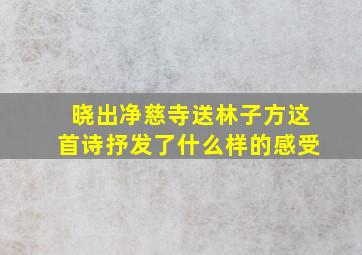 晓出净慈寺送林子方这首诗抒发了什么样的感受