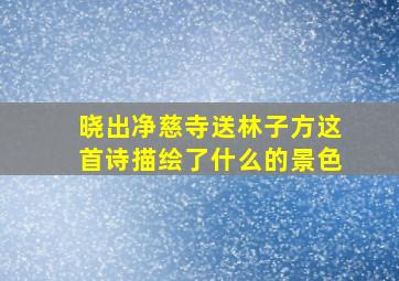 晓出净慈寺送林子方这首诗描绘了什么的景色