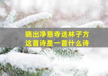 晓出净慈寺送林子方这首诗是一首什么诗