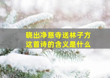 晓出净慈寺送林子方这首诗的含义是什么