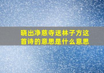 晓出净慈寺送林子方这首诗的意思是什么意思