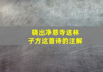 晓出净慈寺送林子方这首诗的注解