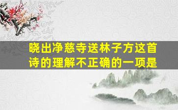 晓出净慈寺送林子方这首诗的理解不正确的一项是