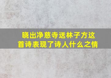 晓出净慈寺送林子方这首诗表现了诗人什么之情