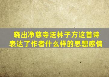 晓出净慈寺送林子方这首诗表达了作者什么样的思想感情