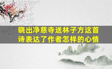 晓出净慈寺送林子方这首诗表达了作者怎样的心情