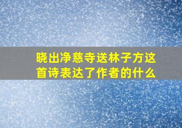 晓出净慈寺送林子方这首诗表达了作者的什么