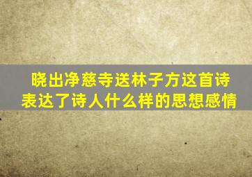 晓出净慈寺送林子方这首诗表达了诗人什么样的思想感情