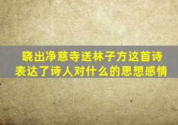 晓出净慈寺送林子方这首诗表达了诗人对什么的思想感情