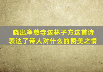 晓出净慈寺送林子方这首诗表达了诗人对什么的赞美之情