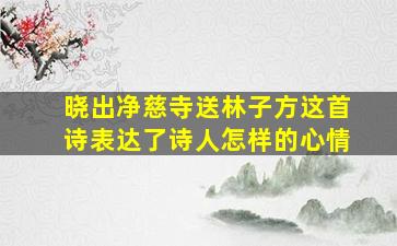 晓出净慈寺送林子方这首诗表达了诗人怎样的心情