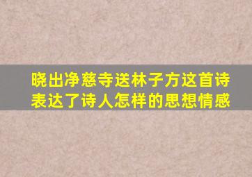 晓出净慈寺送林子方这首诗表达了诗人怎样的思想情感